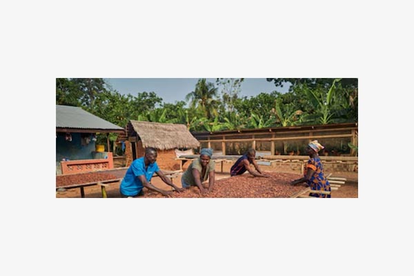 Workers on a farm