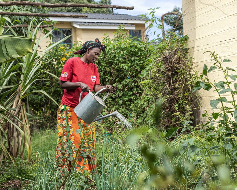 Regina recommends incorporating agricultural education into the school curriculum. Both to impart valuable knowledge about sustainable agriculture and urban farming, and also to cultivate an appreciation for the vital role of farming in our communities.
