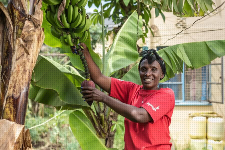 Regina Nyambura “My produce attracts a customer base from my neighbors, where individuals regularly purchase fresh vegetables, contributing to the success and sustainability of my business.”