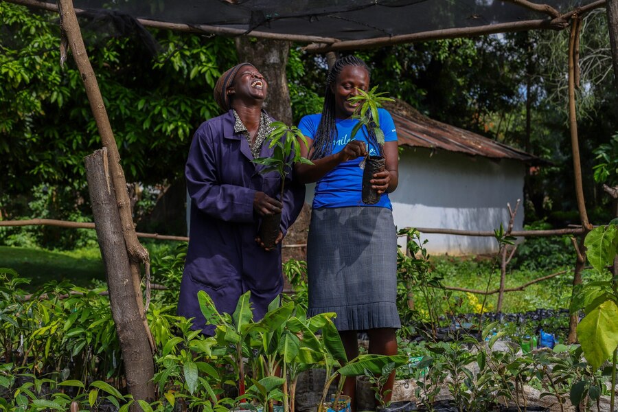Maurine has trained Millicent Achieng’ as a nursery assistant to help with caring for seedlings, grafting, weeding, pruning, potting, inventory and sales