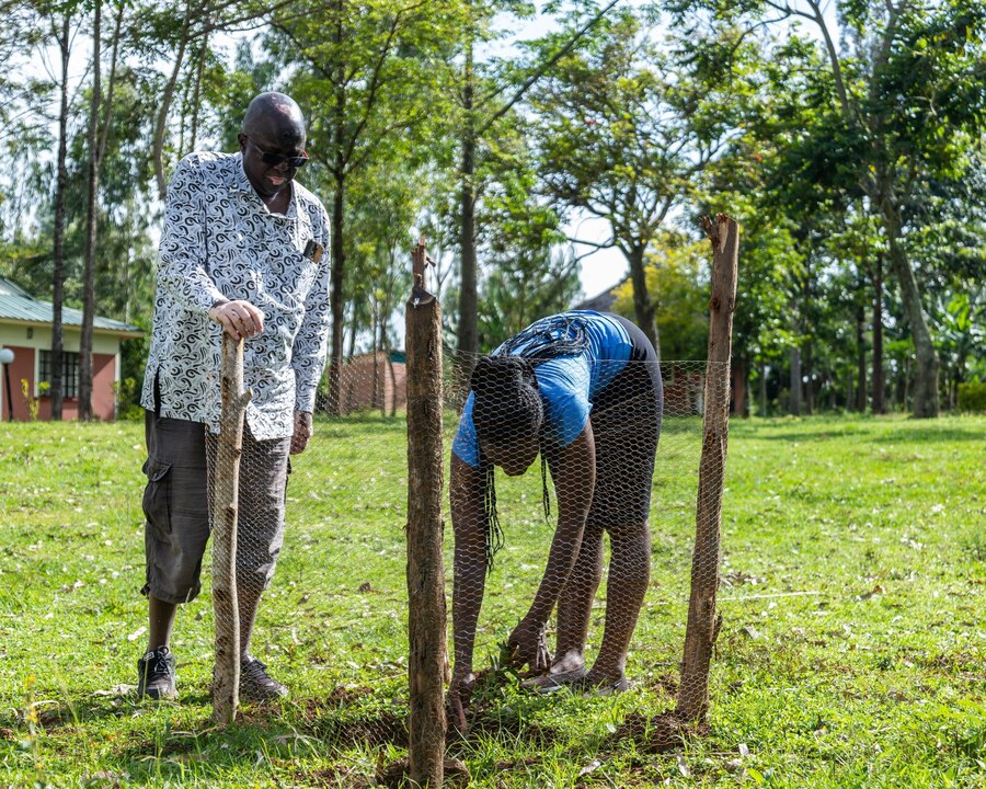 Maurine Akeyo, engages her client, Professor Jacob Midiwo from neighbouring Siaya county on the progress of fruit trees planted a month earlier.