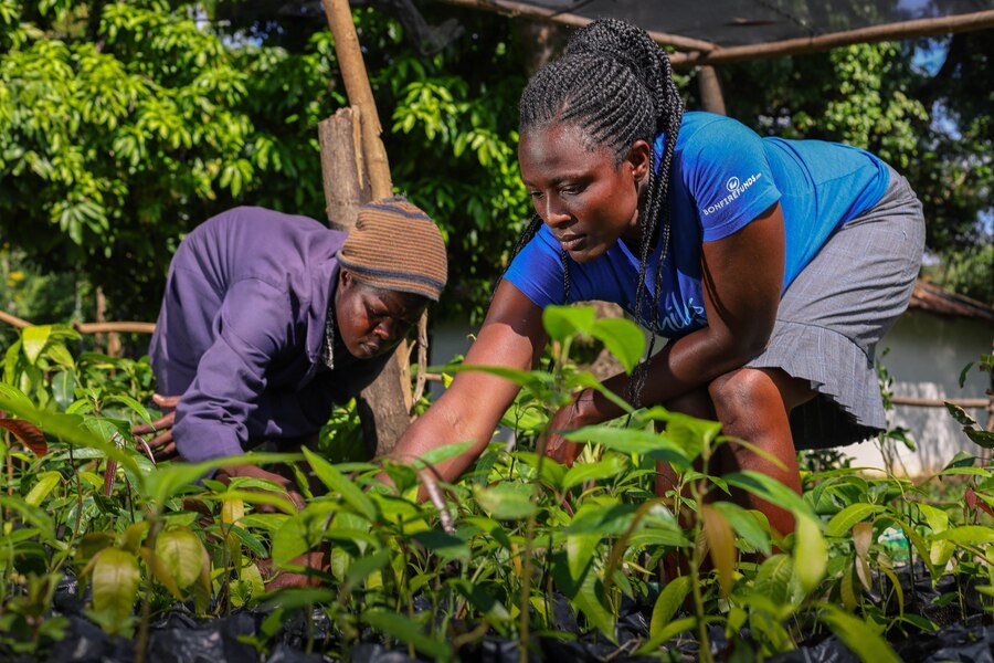 Maurine Akeyo, an agronomist based in Kisumu attends to seedlings at her nursery with Millicent Achieng’.