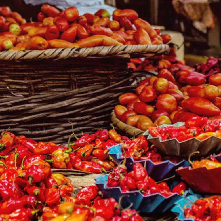 Pile of scotch bonnet peppers