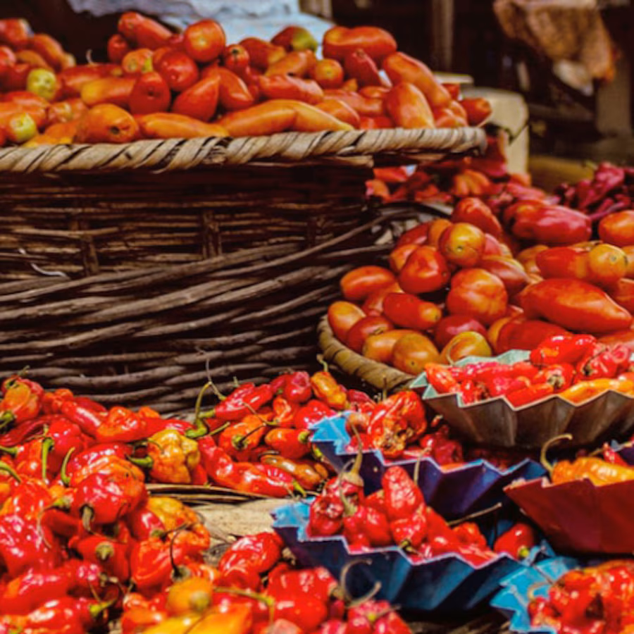 Pile of scotch bonnet peppers