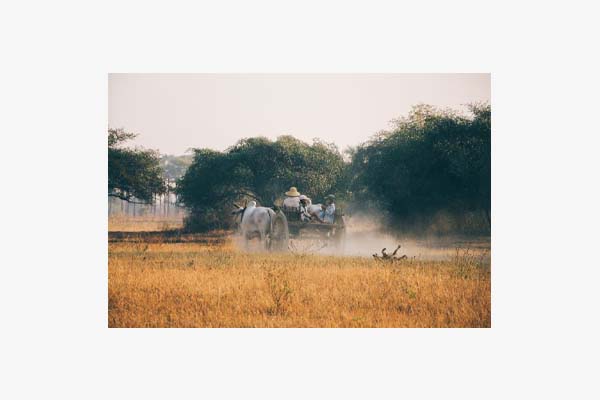 Transforming of Production ​ Palm Sugar (ToPPS) by SNV